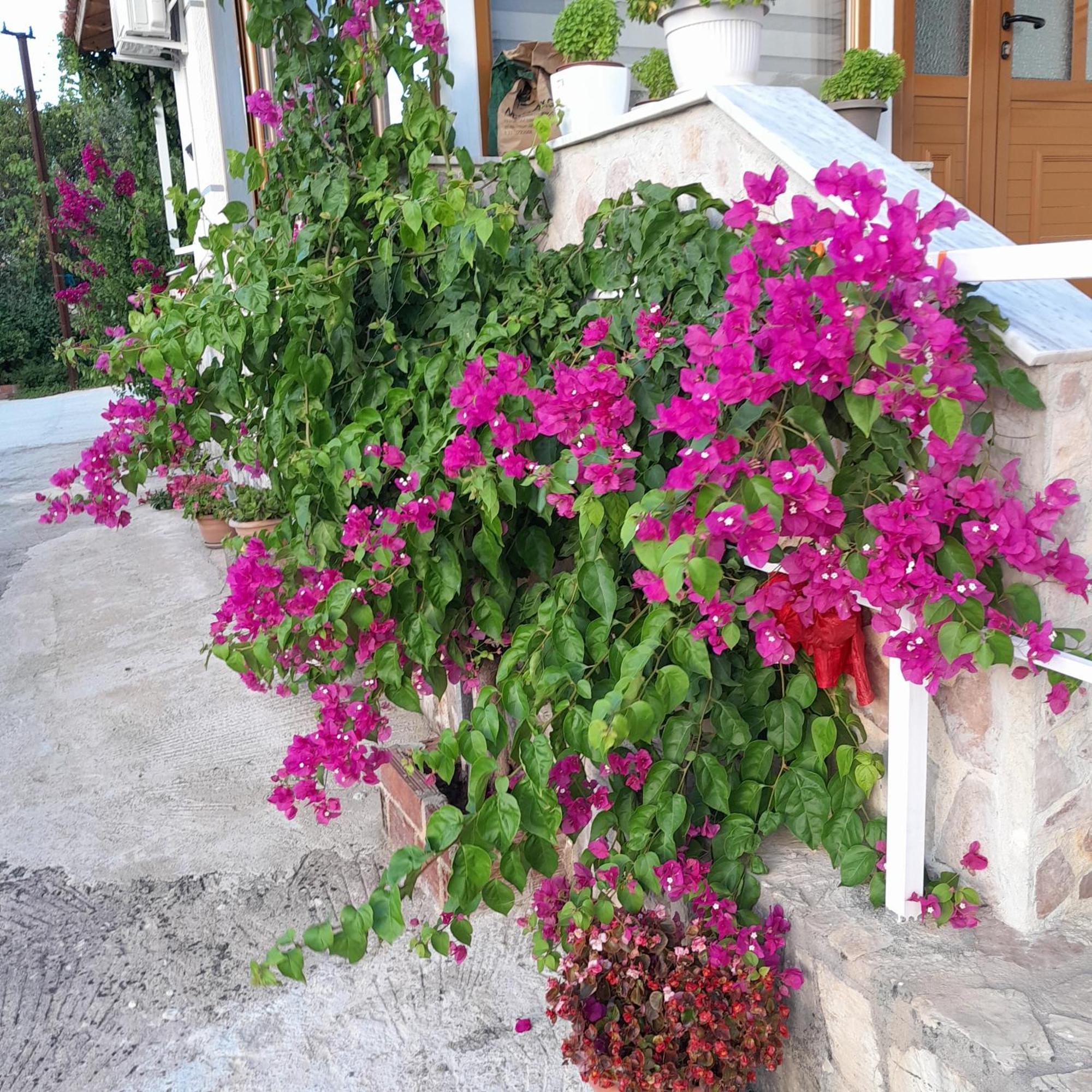 Denni'S Home Sarande Exterior photo